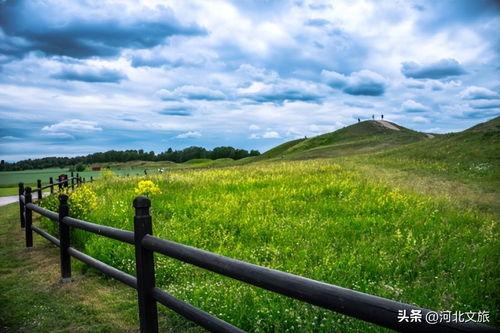 驼梁头条,聚焦热点，解码社会现象