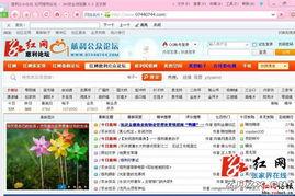 张家界红网是什么级别,揭秘地方级新闻门户网站的权威与影响力