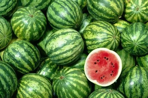 吃瓜买西瓜,吃瓜买西瓜，轻松挑选美味西瓜攻略