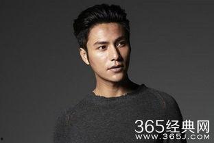 陈宽明星,星光璀璨的影视新星，演绎人生百态