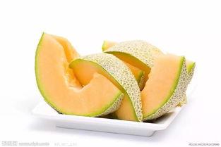 海盗吃哈密瓜,海上奇遇记