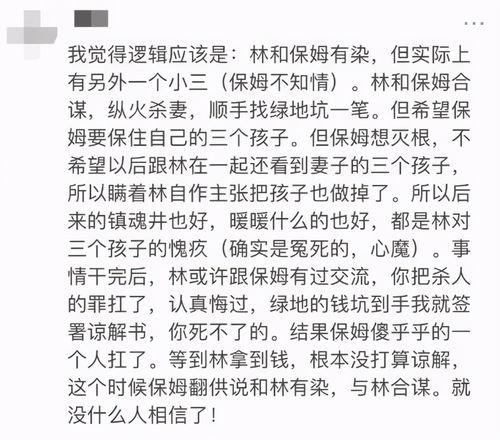 林生斌阳间吃瓜,一场网络舆论的风暴